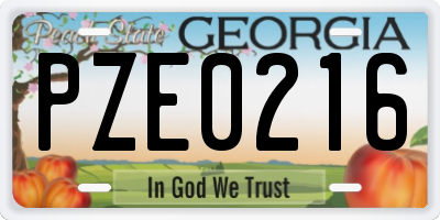 GA license plate PZE0216