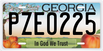 GA license plate PZE0225
