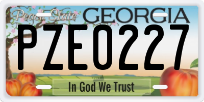 GA license plate PZE0227