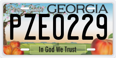 GA license plate PZE0229