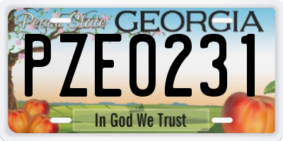 GA license plate PZE0231