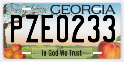 GA license plate PZE0233
