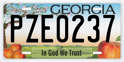 GA license plate PZE0237