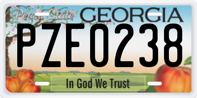 GA license plate PZE0238