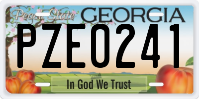 GA license plate PZE0241