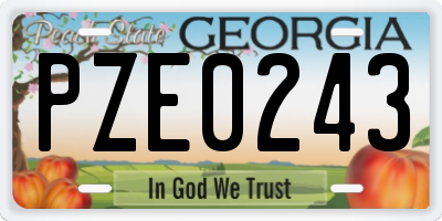 GA license plate PZE0243