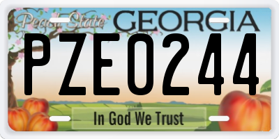 GA license plate PZE0244