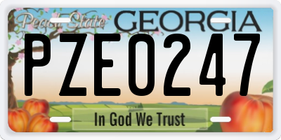 GA license plate PZE0247
