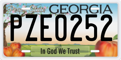 GA license plate PZE0252