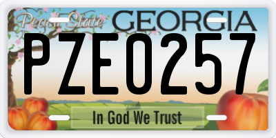 GA license plate PZE0257