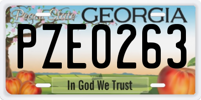 GA license plate PZE0263
