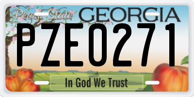 GA license plate PZE0271