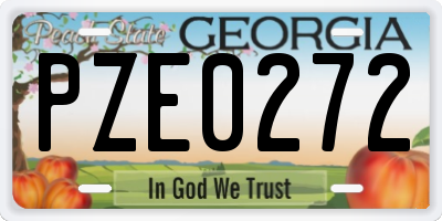 GA license plate PZE0272