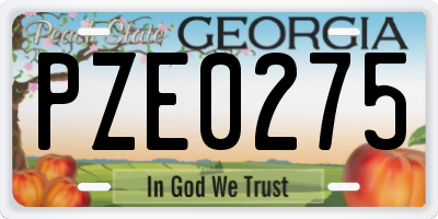 GA license plate PZE0275