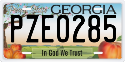 GA license plate PZE0285