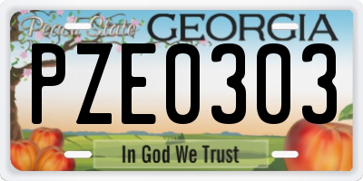 GA license plate PZE0303