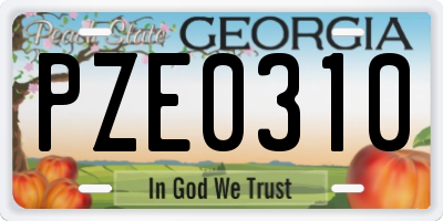 GA license plate PZE0310