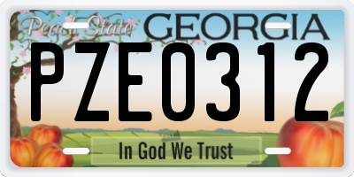 GA license plate PZE0312