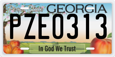 GA license plate PZE0313