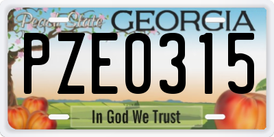 GA license plate PZE0315
