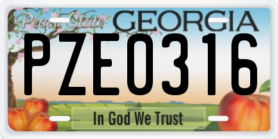GA license plate PZE0316
