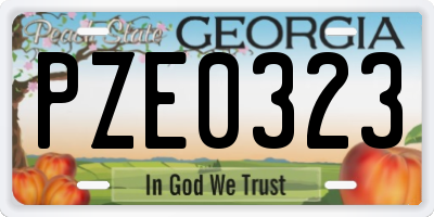 GA license plate PZE0323