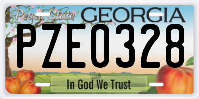 GA license plate PZE0328