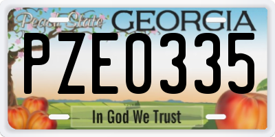 GA license plate PZE0335