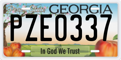 GA license plate PZE0337