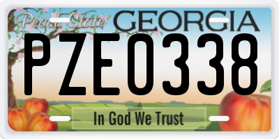 GA license plate PZE0338