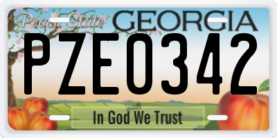 GA license plate PZE0342