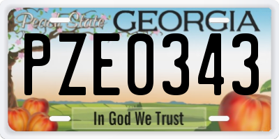 GA license plate PZE0343