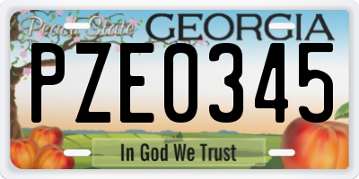 GA license plate PZE0345