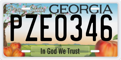 GA license plate PZE0346