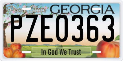 GA license plate PZE0363