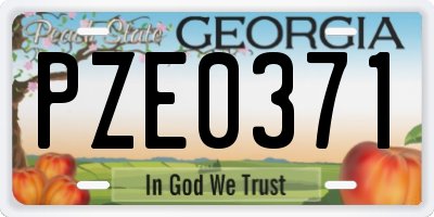 GA license plate PZE0371