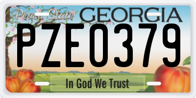 GA license plate PZE0379