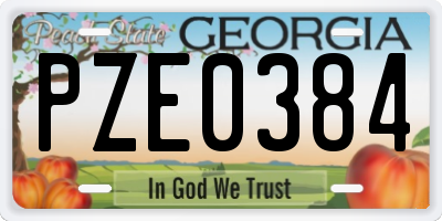 GA license plate PZE0384