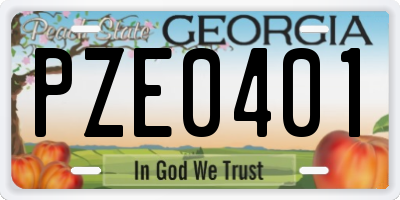 GA license plate PZE0401