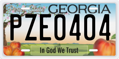 GA license plate PZE0404