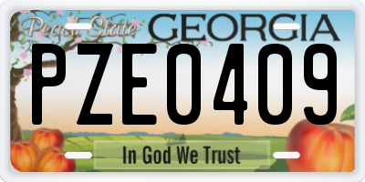 GA license plate PZE0409