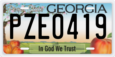 GA license plate PZE0419