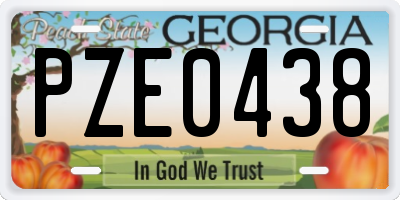GA license plate PZE0438