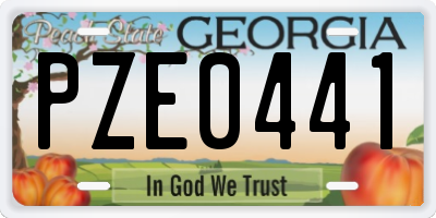 GA license plate PZE0441