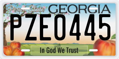 GA license plate PZE0445