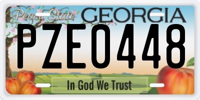 GA license plate PZE0448