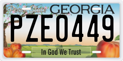 GA license plate PZE0449
