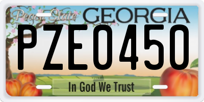 GA license plate PZE0450