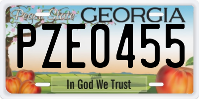 GA license plate PZE0455