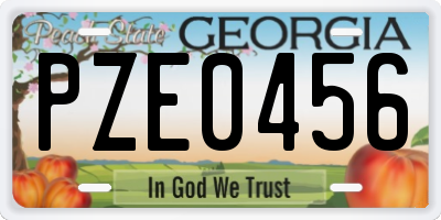 GA license plate PZE0456